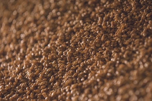 Exploring the Versatility of Brewer’s Spent Grain: From Feed to Fiber