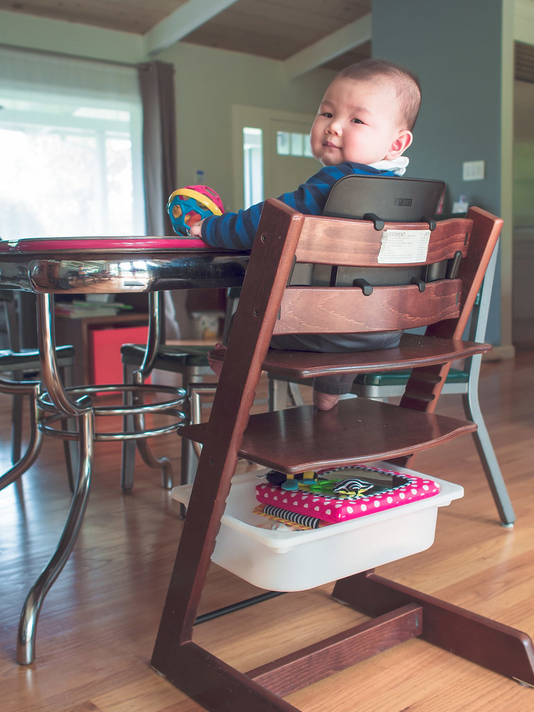 Elevate Your Parenting Experience with Stokke: A Symphony of Style and Functionality
